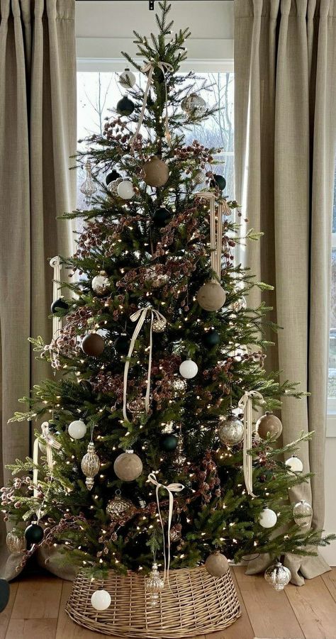 Basic Christmas Tree Ideas, Christmas Tree By Window, Christmas Tree Ideas Frosted, White And Gold Christmas Decor Ideas, Basic Christmas Tree, Flocked Christmas Tree Ornaments, Noble Fir Christmas Tree Decorated, Christmas Tree Flocked, 9ft Christmas Tree Decorated