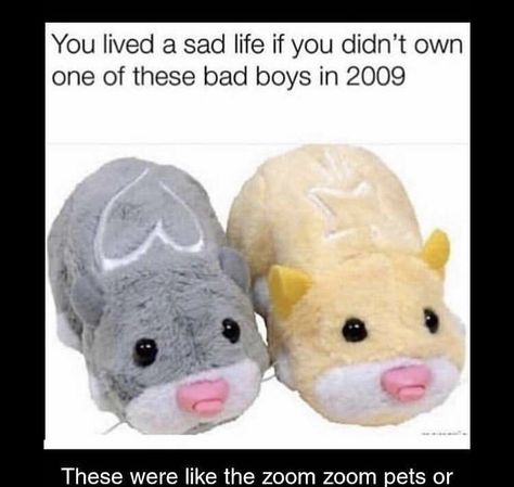 Zuzu Pets, 2000s Childhood Memories, Zhu Zhu Pets, 2000s Childhood, Zhu Zhu, Right In The Childhood, Childhood Memories 2000, Kids Memories, 2000s Nostalgia