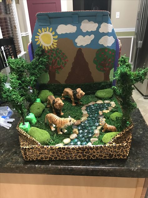 Kindergarten Science Projects, Biomes Project, Rainforest Project, Habitat Project, Diorama Kids, Ecosystems Projects, Diorama Project, Habitats Projects, Animal Habitat