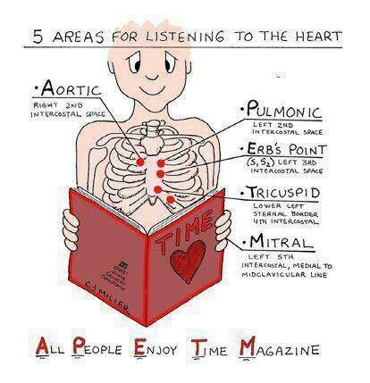 5 areas for listening to the heart APETM Nursing Information, Nursing Fun, Nursing Assessment, Heart Sounds, Nursing Mnemonics, Nursing School Survival, Nurse Rock, Nursing School Studying, Nursing School Tips