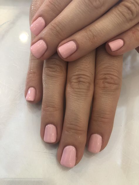 Geranium pink by dnd 💅🏽 #gelnails #gelcolor #gelpolish #gelmani #dnd @dndgel Pink Nails Dnd Gel, Dnd Gel Polish Colors Light Pink, Geranium Pink Dnd, Dnd 602 Elegant Pink Nails, Dnd Gel Light Pink, Shellac Pedicure, Wedding Nail Polish, Dnd Gel Polish, Gel Mani