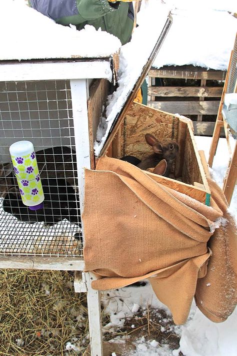 Rabbit Nesting Boxes, Rabbit Nesting Box Ideas, Rabbit Nesting Box Diy, Homestead Rabbits, Rabbit Nesting Box, Nesting Boxes Diy, Permaculture Homestead, Rabbit Hutch Indoor, Ruby Rabbit