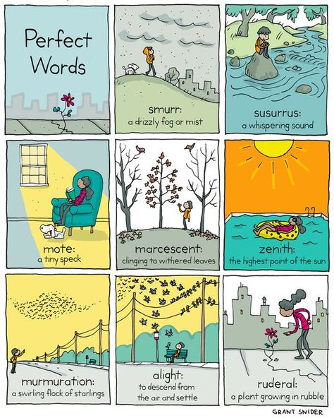 Fact Retriever Grant Snider, Unitarian Universalist, Unique Words Definitions, Word Definitions, Perfect Word, Writing Project, Great Words, Love Words, New Words