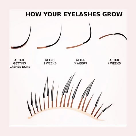 Metro Detroit Beauty + Medspa on Instagram: “This is a great visual of why you need lash “fills” and how your lashes grow out with extensions. During your fill appointment, we’ll…”