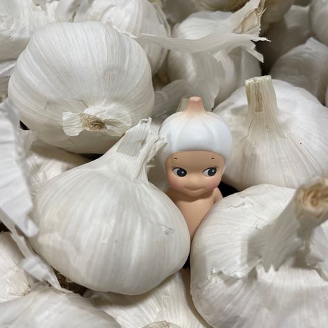 A garlic Sonny Angel figure in the middle of a pile of garlic cloves. Sonny Angel Aesthetic, Sonny Angels, Trendy Fashion Accessories, Angel Aesthetic, Sonny Angel, Miniature Figures, Blind Box, Garlic, Angel