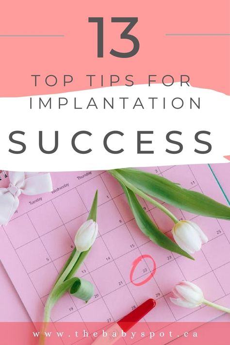 Implantation success Letrozole Fertility Success, Letrozole Fertility, Fertilization Process, Fertility Tips, Eat Healthy, Tips And Advice, Top Tips, Step Guide, Fertility