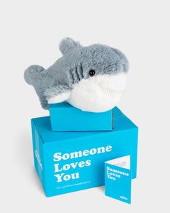 Shark Clothes, Shark Things, Someone Loves You, Into Your Arms, Shark Stuff, Shark Pictures, Shark Plush, Shark Gifts, Shark Lover