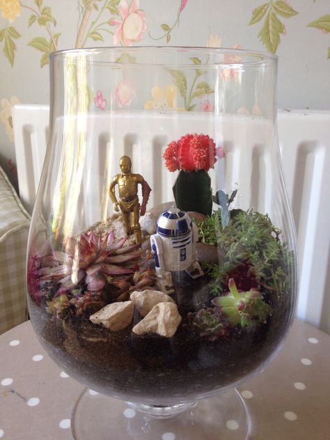 Starwars Terrarium, Star Wars Terrarium, Themed Terrarium, Baby Themes, Fairy Gardens, Crafty Craft, Zen Garden, Kids Crafts, Project Ideas