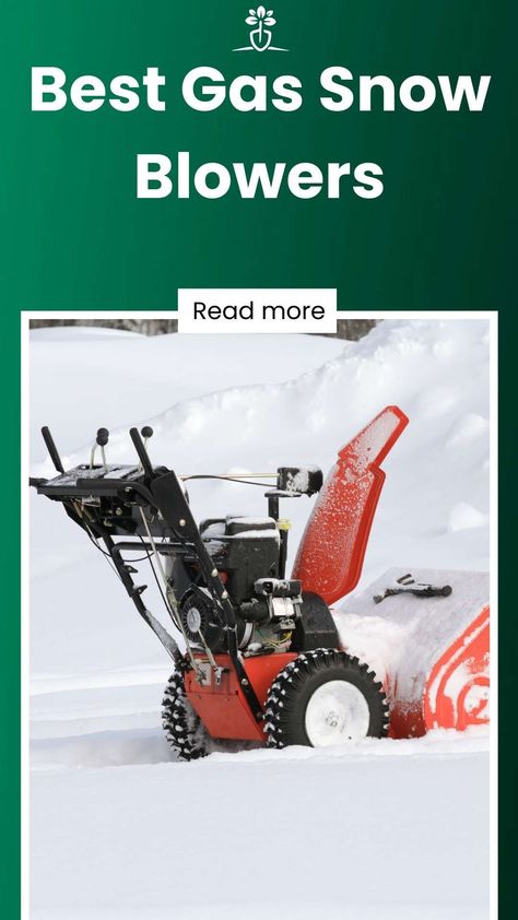 Needle In A Haystack, Snow Blowers, Yard Project, Reverse Gear, Snow Blower, Power Outlet, Great Lakes, Garden Tools, Yard