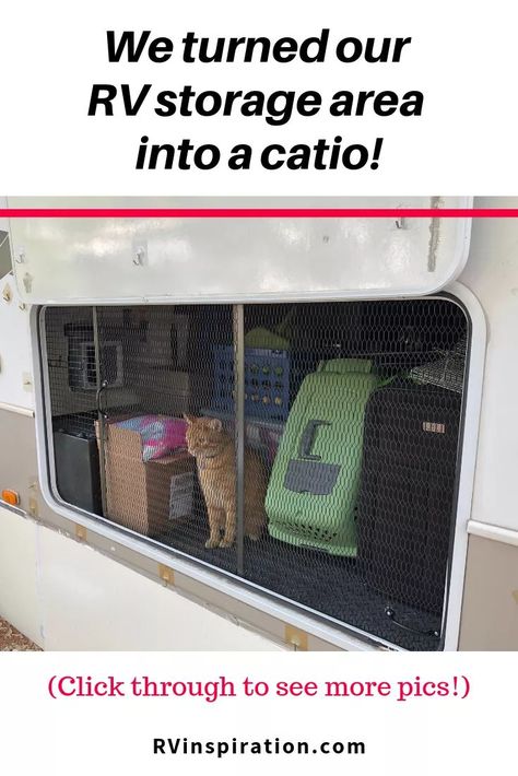 We created a catio for our cat under our RV using screen protector panels. Read the article for more pics! | #RVingwithcats #RVingwithpets #RVlife #RV Cat Rv Ideas, Rv Pet Hacks, Rv Cat Ideas, Long Term Rv Camping Setup, Camper With Cats, Rv Cat Tree, Cat Rv Living, Rv Living With Pets, Rv Cat Litter Box Ideas