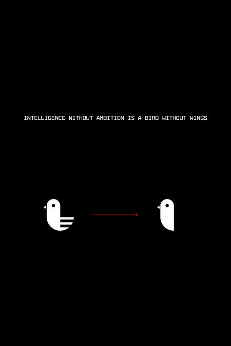 Intelligence without ambition is a bird without wings. #minimal #visual #design #simplicity #creativity #wallpaper #ambition #quotes #wisdom Intelligent Wallpaper, Ambition Wallpaper, Intelligence Wallpaper, Visual Quotes, Creativity Wallpaper, Ambition Quotes, Technology Quotes, Life Illustration, Wealth Quotes