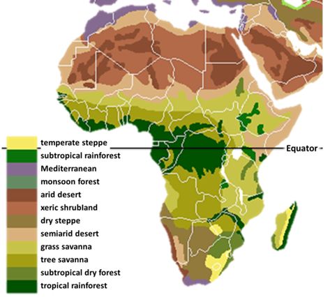 Africa - Wikiwand Rainforest Map, Savanna Tree, Mediterranean Forest, Rainforest Ecosystem, African Rainforest, Rainforest Biome, Desert Biome, Seed Dispersal, Personal Investigation