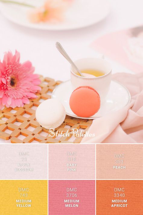 Dmc Pink Color Palette Code, Apricot Yellow Color Palette, Apricot Color Palette Colour Schemes, Pink Peach Yellow Colour Palettes, Peach And Yellow Color Palette, Yellow Orange Pink Color Palette, Brunch Color Scheme, Peach And Pink Color Palette, Pastel Orange Color Palette