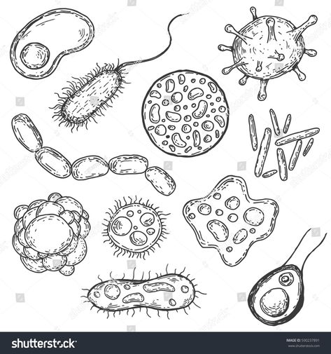 Set of form virus, cell, bacteria or microbe in hand drawn vintage style. Retro vector illustration isolated on white background. #Ad , #ad, #microbe#bacteria#drawn#hand Cool Science Tattoos, Bacteria Tattoo, Microorganisms Art, Microbiology Tattoo, Biology Sketches, Bacteria Drawing, Cells Drawing, Cell Drawing, Biotechnology Art