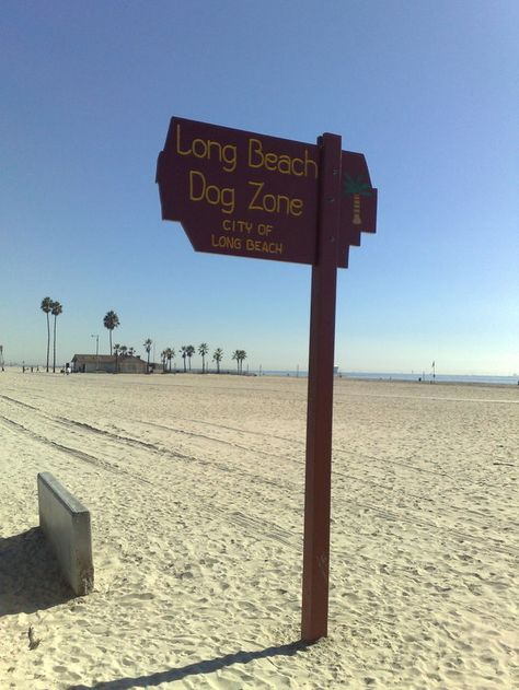 City Entrance, Worldly Things, Sweet California, Long Beach State, Beach School, Ca History, Heritage Scrapbooking, Beach Dog, Dog Friendly Beach