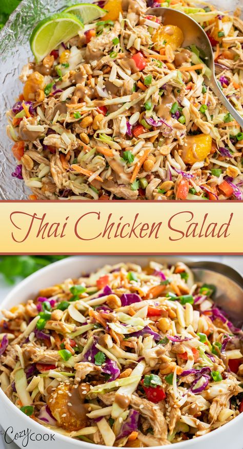 Thai chicken salad with peanuts, shredded chicken, cabbage, and more. Lunch Salad With Chicken, Thai Salad Meal Prep, Chinese Chicken Salad Damn Delicious, Rainbow Chicken Salad, Thai Style Salad, Thai Chicken Salad With Noodles, Thai Chicken Pasta Salad, Crispy Asian Salad, Grab And Go Salads