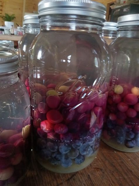 Grandma's Grape Juice! No... - Canning Simple Recipes Food Cranberry Grape Juice, Homemade Grape Juice, Grape Juice Recipe, Dehydrating Food, Bountiful Harvest, Grape Juice, Food Garden, Simple Recipes, Juicing Recipes