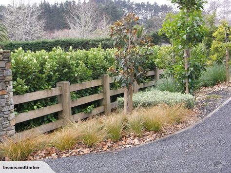 BTM Interlocking Post and 3 rail Fence with Griselinia Lucida Hedge ... Post And Rail Entrance, Heritage Fence Ideas, Split Rail Fence Garden, Rural Front Fence, Garden Hedges Living Fence, 3 Rail Fence, White Split Rail Fence, Fence Hedge, School Fence