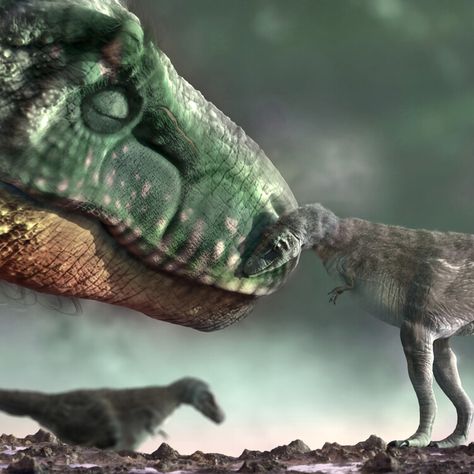 Dinosaurs weren’t all monsters, they also made surprisingly good parents — BBC Wildlife Magazine Wildlife Magazine, Good Parents, All Dinosaurs, Paleo Art, Dinosaurs, Bbc, Parenting, Magazine, Quick Saves