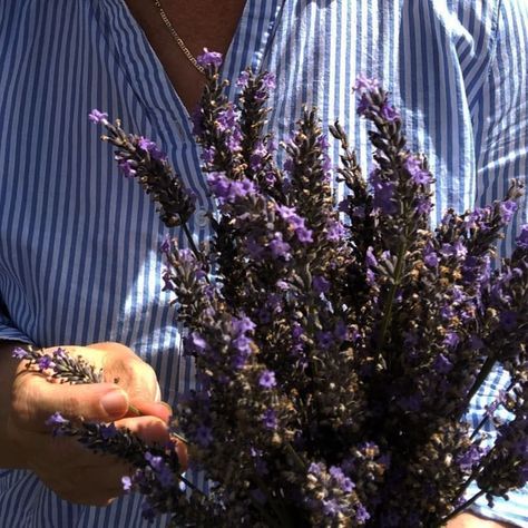 lavender aesthetic 💜✨💕😍💖 Vervain Aesthetic, Lavender Symbolism, Celtic Goddess, Lavender Aesthetic, Beloved Book, Photo Inspo, Lavender, Holiday Decor, Books