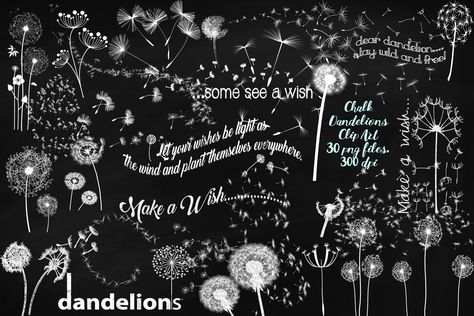 Chalk Dandelions & Overlays Clip Art by FrankiesDaughtersDesign on @creativemarket Chalkboard Clipart, Chalkboard Texture, Chalk Texture, Inspirational Word Art, Illustrations Art, Christmas Cactus, Party Banners, Party Banner, Craft Items