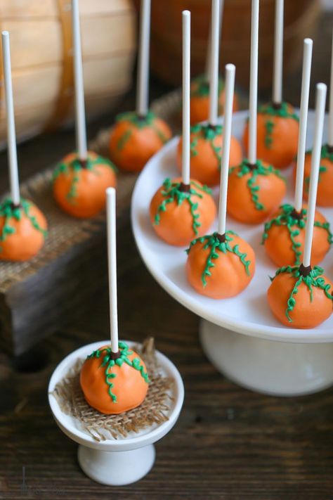 Pumpkin Cake Pops Pumpkin Patch Cake, Pumpkin Cake Pops, Halloween Cake Pops, Pie Pops, Cake Pops How To Make, Crumble Cake, Cake Pop Recipe, Zucchini Cake, Salty Cake