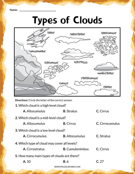 Types Of Clouds Activities, Clouds Activities, Clouds Worksheet, Clouds Lesson, Clouds For Kids, Weather Unit Study, Types Of Clouds, Cloud Activities, Cloud Type