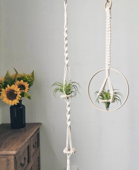 Macrame Air Plant Holder, Indoor Plants Living Rooms, Big Indoor Plants, Air Plant Hanger, Plant Display Ideas, Air Plants Decor, Etsy Macrame, Macrame Plant Hanger Patterns, Air Plant Display