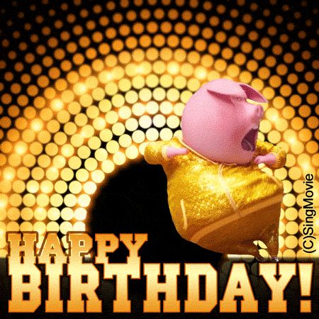 Happy Birthday Gif Download, Funny Happy Birthday Gif Hilarious, Happy Birthday Gif Animation, Happy Birthday Dance, Silly Happy Birthday, Happy Birthday Pig, Funny Happy Birthday Gif, Happy Birthday Dancing, Birthday Gif Images