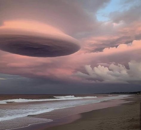 Lenticular cloud over Outer Banks, North Carolina 4/5/23. Photo: Vicky Wills. Sky Without Light Pollution, Beautiful Sky Pictures, Stratocumulus Clouds, Sky Pictures Real Life Clouds, Lenticular Clouds, Rare Cloud Formations, Sky Pictures, Aliens And Ufos, Dream Job