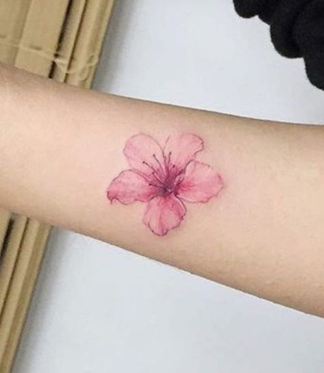 Pink Hibiscus Tattoo, Hibiscus Tattoo, Pink Hibiscus, Lotus Flower Tattoo, Hibiscus, Flower Tattoo, Tattoos, Flowers, Pink