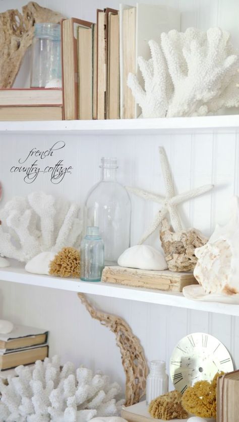 Friday Crush~ Going Coastal - French Country Cottage Shell Displays, Beach Display, Tropical Luxe, Coastal French Country, Diy Coastal Decor, Bookcase Ideas, Seashell Decor, Deco Marine, Beach Colors