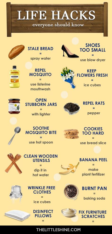 Remedies For Mosquito Bites, Best Life Hacks, Easy Life Hacks, Survival Skills Life Hacks, 1000 Life Hacks, Survival Life Hacks, Easy Life, Everyday Hacks, Survival Life