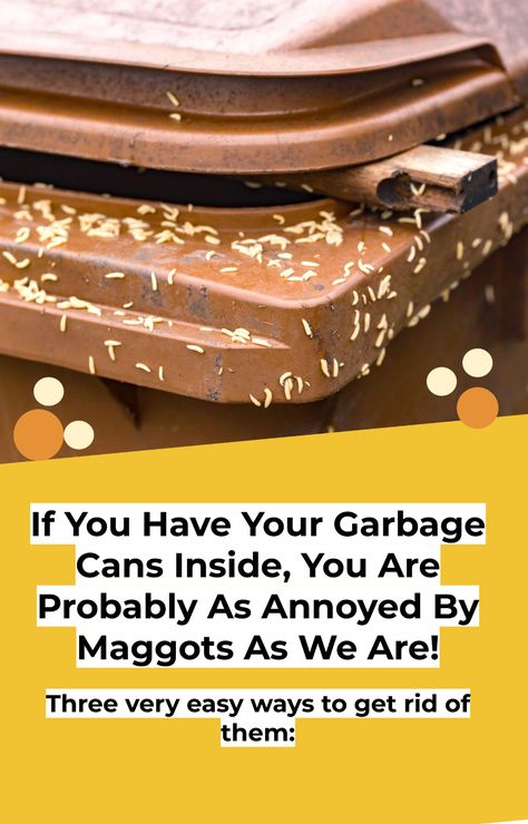 This is maybe a bit gross, but still it's a topic that sadly applies to the most of us: Maggots. They have a bad habit of thriving in garbage cans. And although they are pretty harmless for uns, we just don't want them around in our homes and kitchens! But it is not exactly easy to get rid of these little uninvited guests. So what to do about it? Here are some hacks on how to get rid of them or even eliminate them permanently. Try it out - it will work! Garbage Can Cleaning, Maggots In Trash Can, Clean Garbage Can, Pretty Garbage Cans, How To Keep Raccoons Out Of Trash, Raccoon Proof Garbage Can, Black Bin, Lifestyle Hack, Can Lids