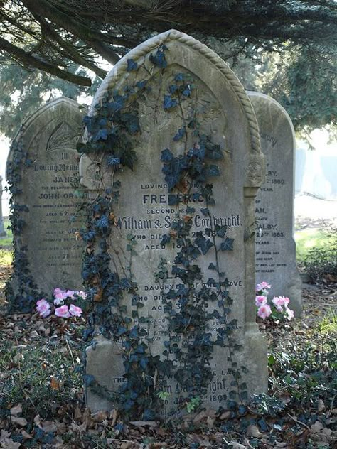 #cemetery #graveyard #tombstones Old Cemetery, Baba Jaga, Cemetery Headstones, Between Two Worlds, Old Cemeteries, Cemetery Art, Six Feet Under, Tombstone, Abandoned Places