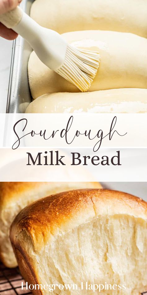 The perfect loaf for any occasion—our Sourdough Milk Bread blends the tang of sourdough with the softness of milk bread for a match made in heaven. Hokkaido Milk Bread, The Perfect Loaf, Buttermilk Bread, Milk Bread Recipe, Japanese Milk Bread, Sourdough Bread Sandwiches, Brunch Bread, No Rise Bread, Leftover Bread