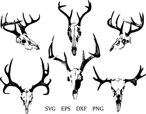 Deer Skull Front View, Deer Skull Art Drawing, Deer Skull Reference, Deer Skull Drawing, Deer Skull With Antlers, Elk Skull, Black Antlers, Deer Skull Art, Skull Collection