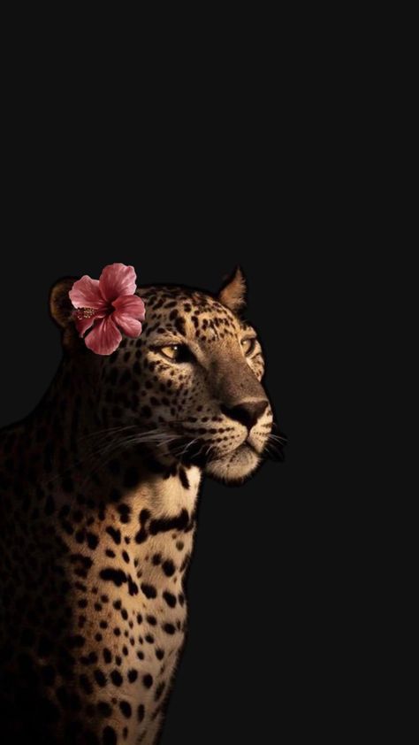 #Leo #Blumen Glamour Wallpaper, متحف فني, Cheetah Wallpaper, Leopard Print Wallpaper, Cheetah Print Wallpaper, Beautiful Friendship, Iphone Wallpaper Classy, Animal Portraits Art, Into The Water