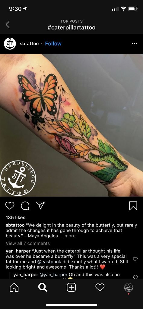 Caterpillar To Butterfly Tattoo, Caterpillar Tattoo, Butterfly Tattoo, Black Tattoos, Caterpillar, Watercolor Tattoo, Small Tattoos, Tatting, Tattoos