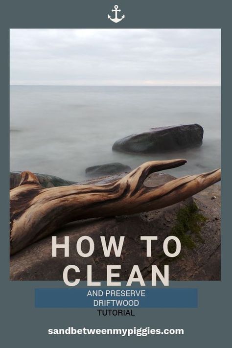 Cleaning Driftwood How To, Small Driftwood Ideas, Driftwood Projects Sculptures & Statues, How To Clean Driftwood, Preserving Driftwood, Driftwood Cleaning, Driftwood Garden Ideas, Preserve Driftwood, Cleaning Driftwood