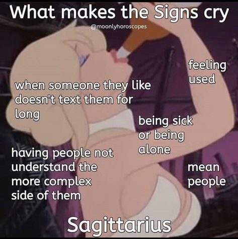 Star Signs That Go Together, Zodiac Sagittarius Facts, Sagittarius Personality, Sagittarius Traits, Sagittarius Girl, Sagittarius Astrology, Horoscope Sagittarius, Sagittarius Quotes, Sagittarius Love