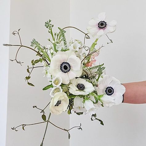 Panda Power! 🐼 Panda anemones, that is. Let’s chat about these beauties! I love anemones, and so do many brides. They come in a stunning range of colors—like red, the classic black and white you see here, purple, and vibrant fuchsia. They also have a pretty reasonable vase life, so they can stay fresh throughout your event. Plus, anemones are generally available year-round, thanks to imports, they’re at their very best in early spring when sourced from local growers. However, there are a f... Small Anemone Bouquet, Anemone Rose Wedding Bouquet, White Anemone Flower Bouquet, Anemones Bouquet, White Anemone Bridal Bouquet, White Anemone Bridesmaid Bouquet, Hoco Bouquet, Anemone Bouquet, White Anemone