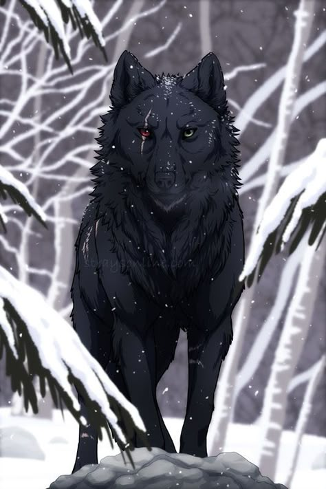 Lup Singuratic, Postcard Prints, Demon Wolf, Shadow Wolf, Wolf Artwork, Fantasy Wolf, Wolf Spirit Animal, Werewolf Art, Wolf Wallpaper