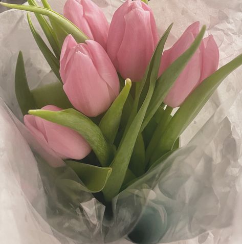 i 💗 tulips Tulip Aesthetic, Tulips Aesthetic, Tulip Colors, Nothing But Flowers, Pretty Landscapes, Plant Aesthetic, Flower Therapy, Pink And White Flowers, Pink Tulips