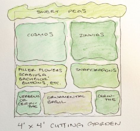 Small Cut Flower Garden Layout, Garden Map, Minnesota Garden, Flower Garden Layouts, Small Flower Gardens, Backyard Flowers Garden, Growing Cut Flowers, Flower Garden Plans, Cut Flower Farm