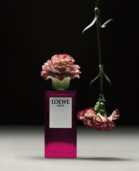 Loewe LLadró perfume 🌸 Loewe Perfume, Holt Renfrew, Porcelain Flowers, Signature Scent, Beauty Items, Pale Green, Mimosa, One Color, Truffles