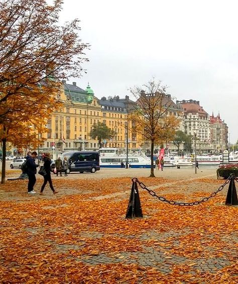 Autumn is a beautiful season in Stockholm, Sweden                              … Stockholm In Autumn, Stockholm Autumn, Scandinavian Autumn, Sweden Autumn, Kingdom Of Sweden, Fall Or Autumn, Stockholm Syndrome, Sweden Travel, Seasons Winter