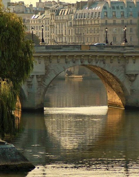 Pont Neuf Pont Neuf Paris, Beautiful Paris, Paris Aesthetic, Paris City, Most Beautiful Cities, Architectural Features, Paris Travel, Pretty Places, Travel Inspo