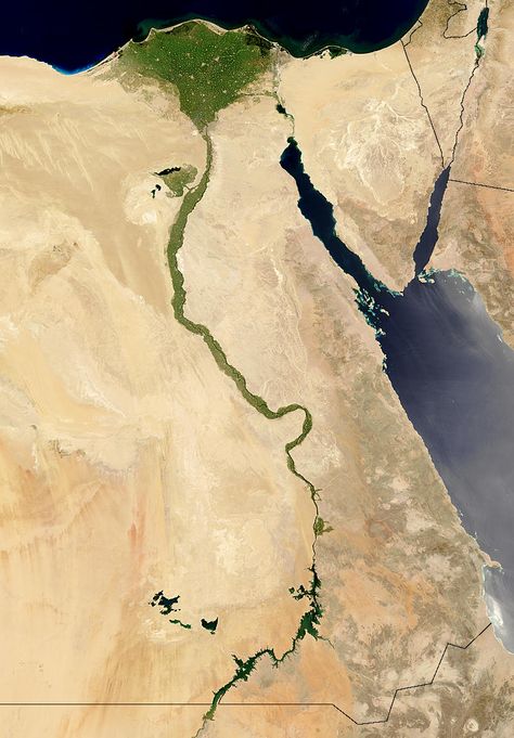 The Nile River River Mouth, The Nile River, Desert Land, Nile Delta, River Delta, Food Web, Nile River, Satellite Image, The Nile