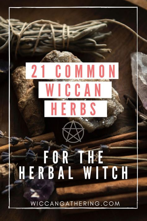 Familiarize yourself with these 21 common Wiccan herbs to use in your herbalism magic practices. If you are an herbal witch, this list is a great add-on to your practices in herbalism witchcraft and herbal healing. #HerbalWitch #HerbalHealing #HerbalismMagic #HerbalismWitchcraft Most Common Herbs Used In Witchcraft, Witchcraft Herbs Meanings, Herbs And Their Uses Witchcraft, Herbal Magic Witchcraft, Herbalism Witchcraft, Wild Witchcraft, Herbs For Witchcraft, Wicca Herbs, Teas For Headaches